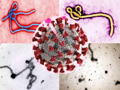 Coronavirus Treatment: प्लाज्मा थेरपी से इबोला का हुआ था इलाज, क्या वैक्सीन आने तक कोरोना में भी यही होगा? 