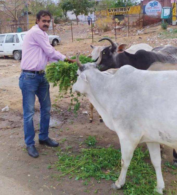 തെരുവ് നായകള്‍ക്ക് ഭക്ഷണം നല്‍കുന്ന വ്യവസായി