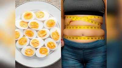 Weight loss करना है तो इस तरह से पकाकर खाएं अंडा, बिना मेहनत बर्न हो जाएगी Calorie