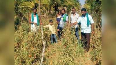 ಲಾಕ್‌ಡೌನ್‌: ಪೊಲೀಸರ ಭಯಕ್ಕೆ ತರಕಾರಿಗಳನ್ನು ಹೊಲದಲ್ಲೇ ಕೊಳೆಯಲು ಬಿಟ್ಟ ರೈತರು!