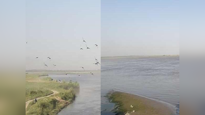 लॉकडाउन से निर्मल हुआ गंगा नदी का जल, इन शहरों में वायु प्रदूषण भी हुआ कम