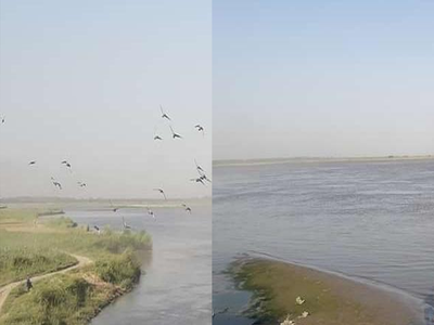 लॉकडाउन से निर्मल हुआ गंगा नदी का जल, इन शहरों में वायु प्रदूषण भी हुआ कम