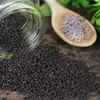 Basil Seeds Health Benefits