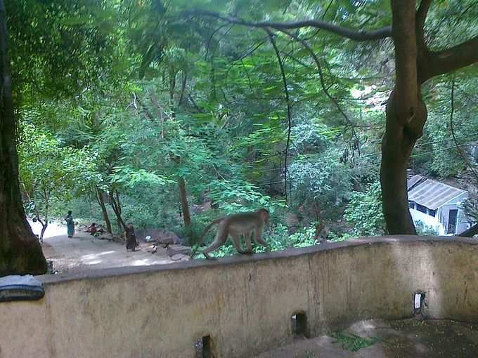 ​ಅತಿಥಿ ಗೃಹಗಳೂ ಇವೆ