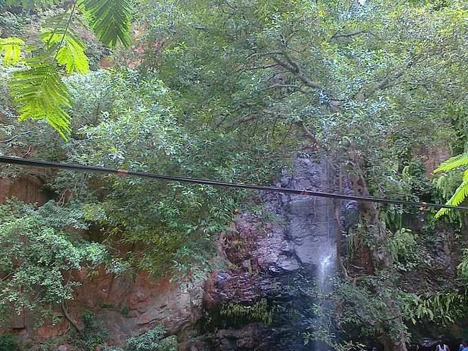 ​ಔಷಧೀಯ ಶಕ್ತಿಯನ್ನು ಹೊಂದಿದೆ