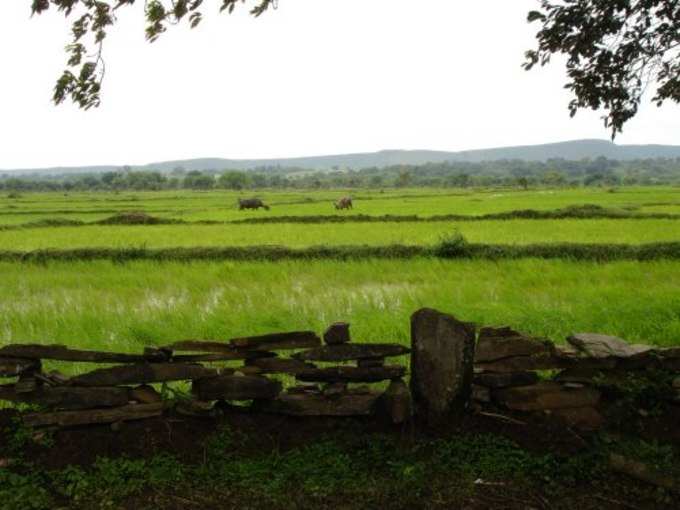 ​ಪರಿಸರ ಸ್ನೇಹಿ ತಾಣ