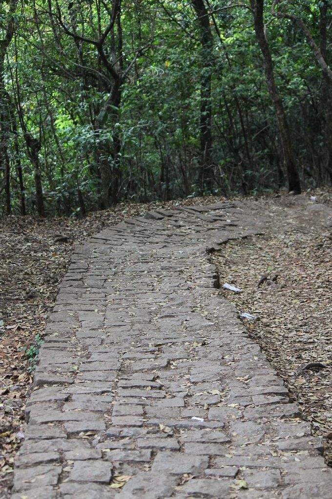 ​ನಾಲ್ಕು ವಿಭಿನ್ನ ದಿಕ್ಕುಗಳು