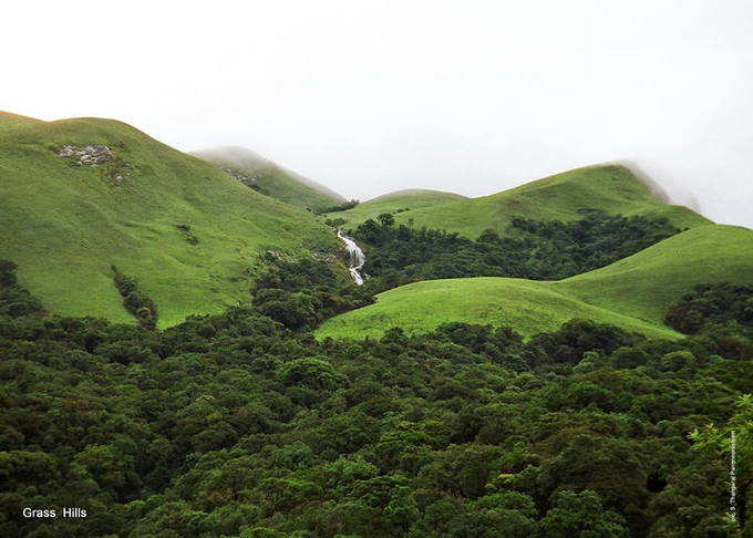 ​ಔಷಧೀಯ ಸಸ್ಯಗಳು