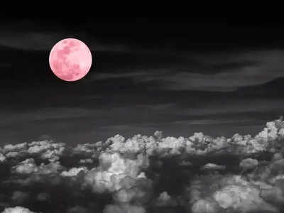 कोरोना के डर के बीच आज हो रहा Super Pink Moon का दीदार, ज्योतिष का दावा- अच्छा वक्त लाएगा यह खगोलीय घटना