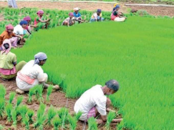 ​ಬಜೆಟ್‌ನಲ್ಲಿ ವಲಯವಾರು ಹಂಚಿಕೆ ಎಷ್ಟು?