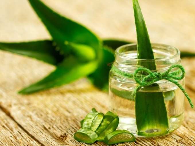 ​कोरफड (Aloe Vera)