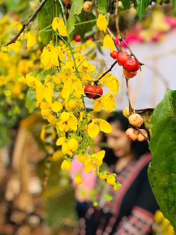 ರಣ್ವಿತ್‌ಗೆ ಜನ್ಮದಿನದ ಸಂಭ್ರಮ