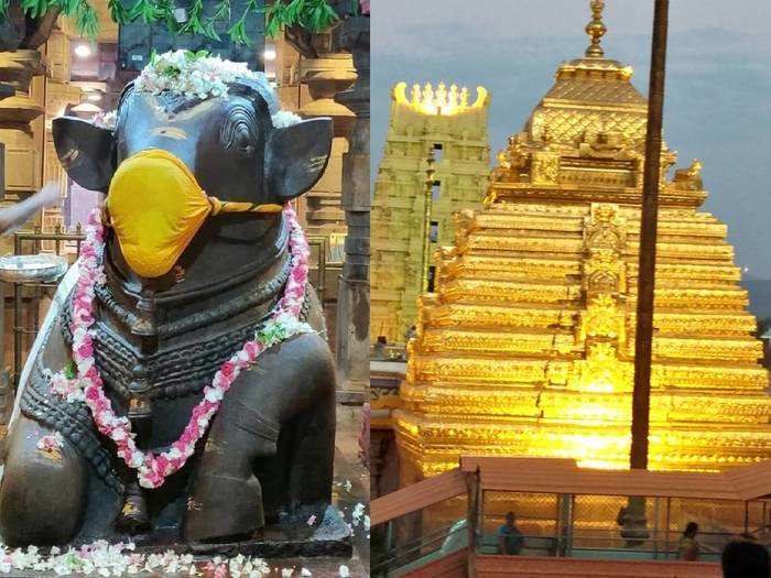 sri bhramaramba mallikarjuna temple significance why maha nandi covered with mask during tuesday and pradosha