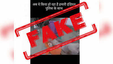 Fake Alert: साधुने पोलिसाची धुलाई केल्याचा व्हिडिओ खोटा आहे