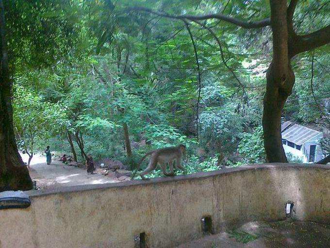 ​అతిధి గృహాలు