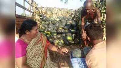 ರೈತರ ನೆರವಿಗೆ ತೋಟಗಾರಿಕೆ ಅಧಿಕಾರಿ