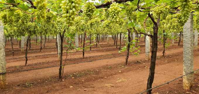 ​ವಿಜಯ ಕರ್ನಾಟಕ ವೆಬ್ ವರದಿಗೆ ‘ಯುವ ಶಕ್ತಿ’ ಸಂತಸ..