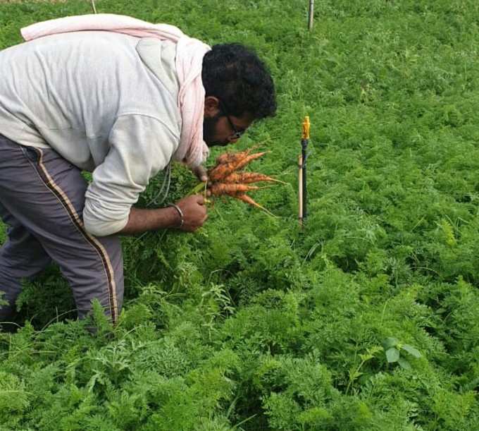 yuva shakti supports farmers to sale their crops