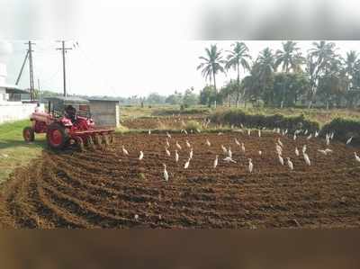 പുതുവർഷത്തിന് ഇന്ന് തുടക്കം; പ്രതീക്ഷയോടെ ഒന്നാംവിള നെൽകൃഷി ഇറക്കാന്‍ കര്‍ഷകര്‍