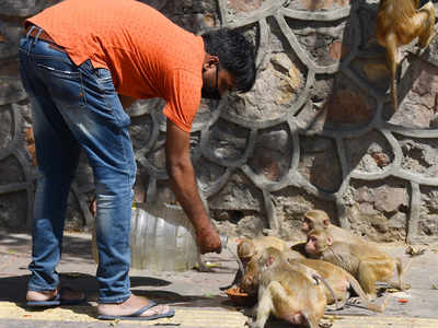 तेवर दिखाने लगी गर्मी, पालम में तापमान जा पहुंचा 41.2 डिग्री