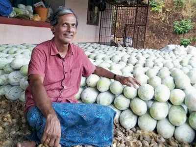 ಕಾಸರಗೋಡು: ಭಟ್ಟರ ಕುಂಬಳಕ್ಕೆ ಬಂತು ತೇಜಿ; ಕೇರಳ ಕೃಷಿ ಸಚಿವರ ಸ್ಪಂದನೆ