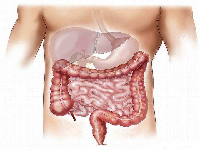 ​पाचन क्रिया को रखेगा मेंटेन