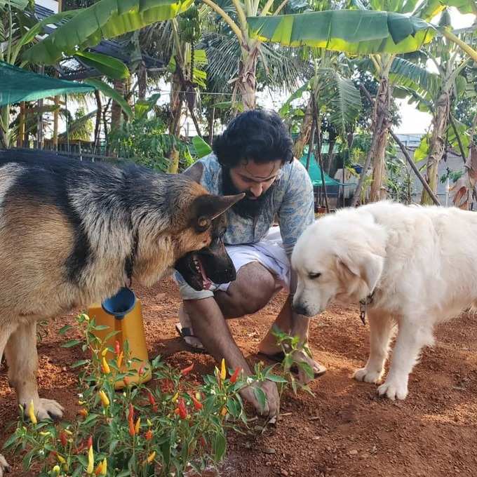 ലോക്ക് ഡൌൺ ലൈഫ്