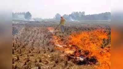 बिहार में पराली जलाने पर लगा बैन, जलाने वालों पर होगी FIR