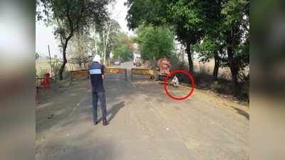 50 हजार का इनामी कोरोना पॉजिटिव पकड़ा गया, चोरी की बाइक से भाग रहा था इंदौर