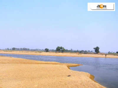 ময়ূরাক্ষী নদীতে ফিরেছে হারিয়ে যাওয়া জীববৈচিত্র্য