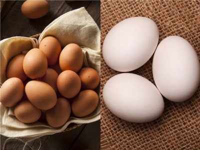 गर्भावस्था में अंडा खाना चाहिए या नहीं, फायदे और नुकसान