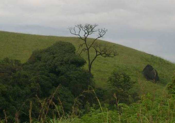 ​ತಲುಪುವುದು ಹೇಗೆ?