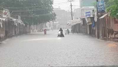 મધ્ય ગુજરાતમાં ધમધોકાર વરસાદ, નદીઓમાં જળસ્તર વધતાં નીચાણવાળા વિસ્તારોમાં એલર્ટ
