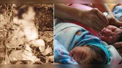 વિજાપુરમાં કાંટાળી ઝાડીમાંથી દયનીય હાલતમાં મળી નવજાત બાળકી, માસૂમને હાથમાં ફ્રેક્ચર