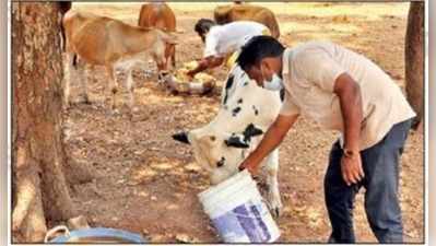 ಉಡುಪಿ: ಮೂಕಪ್ರಾಣಿಗಳ ಮೂಕರೋದನಕ್ಕೆ ಮರುಗಿದ ಆನೆಗುಡ್ಡೆ ದೇವಸ್ಥಾನ