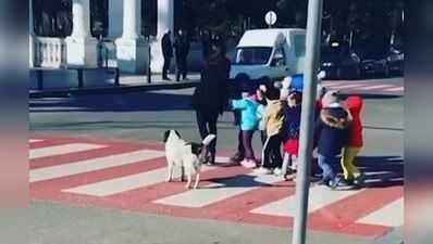 બાળકોને રસ્તો ઓળંગવામાં રખડતા કૂતરાએ આ રીતે કરી મદદ, જુઓ VIDEO