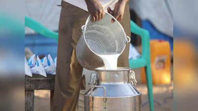 शहरी क्षेत्रों में घट गई दूध की मांग तो गांव में मावा और दही बांटकर मजबूत हो रहे रिश्ते