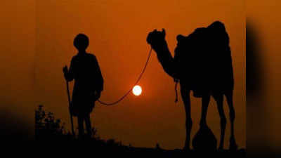 लॉकडाउनः ऊंट को साथ लेकर लुधियाना से पैदल ही गोरखपुर के लिए निकल पड़ा बुजुर्ग