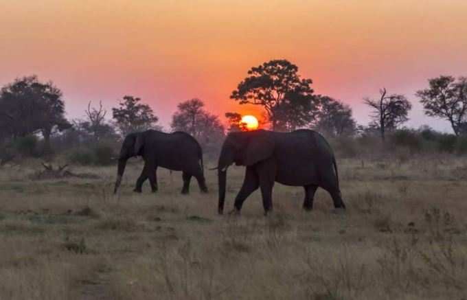 શું તમે વેકેશન પ્લાન કરી રહ્યા છો