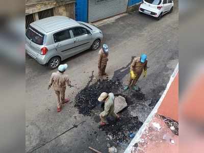 कास रस्त्यावर रानगवे, बिबटे