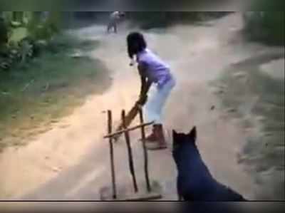 ક્રિકેટ રમતા જોવા મળ્યું કૂતરું, કરી આવી જબરદસ્ત વિકેટ કીપિંગ