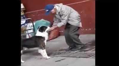 VIDEO: તરસ્યા કૂતરાને આ વૃદ્ધ વ્યક્તિએ ખોબે-ખોબે પીવડાવ્યું પાણી, જુઓ