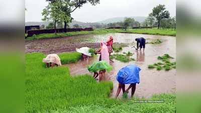 महाराष्ट्र: मुंबई, पुणे में सरकार ने मानसून-पूर्व कार्यों की अनुमति दी