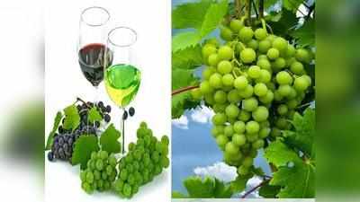 Benefits of Grape Juice : इन 6 बीमारियों को दूर रखता है इस फल से तैयार किया गया जूस