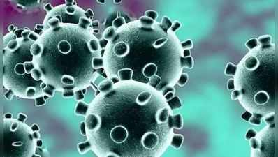સંશોધનમાં થયો ખુલાસોઃ કોરોના જીવંત વાયરસ નથી, એક પ્રોટીન મોલીક્યુલ છે
