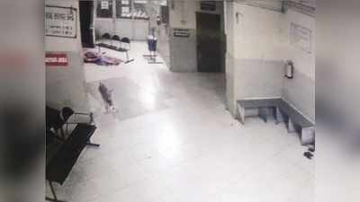 ગોધરા સિવિલ હોસ્પિટલની ગંભીર બેદરકારી: નવજાત બાળકને ખેંચીને લઈ જઈ કૂતરાએ ફાડી ખાધું