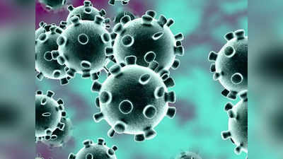 Coronavirus: ताजा स्टडी में खुलासा, यौन संक्रामक रोग नहीं है COVID-19