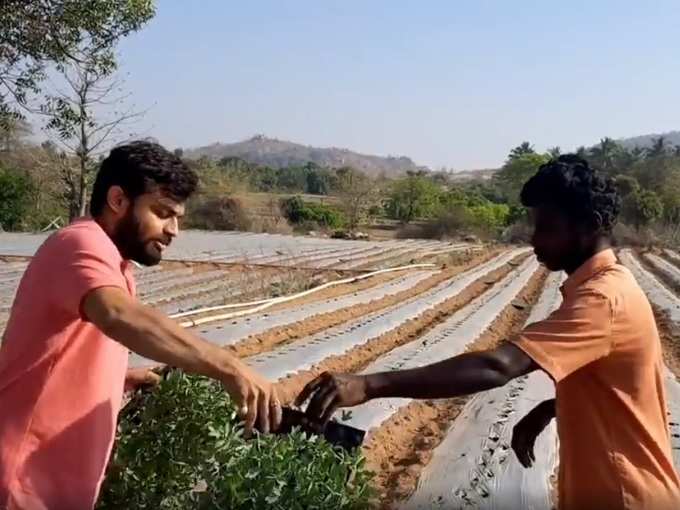 ​12 ಎಕರೆ ಪ್ರದೇಶದಲ್ಲಿ ತರಕಾರಿ ಕೃಷಿ