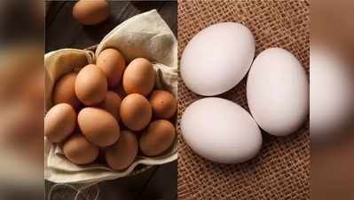 गर्भावस्थेत अंडी खाणे कितपत आहे योग्य? जाणून घ्या सत्य!