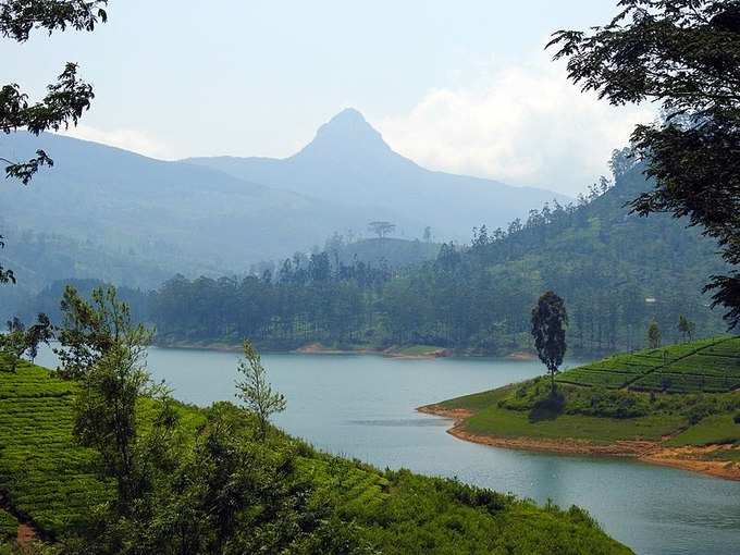 ​ಕಾಡಿನ ಮಧ್ಯದಲ್ಲಿದೆ